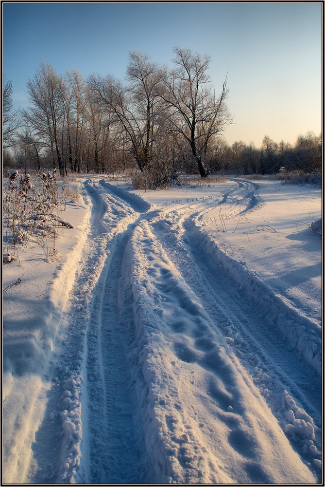 photo "***" tags: landscape, forest, winter