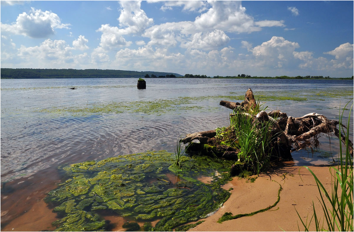 photo "***" tags: landscape, summer