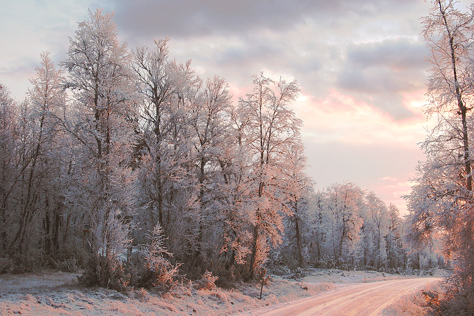 photo "Winter light" tags: landscape, winter