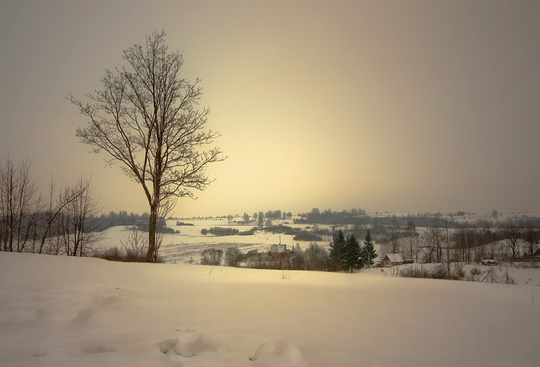 photo "***" tags: landscape, forest, winter