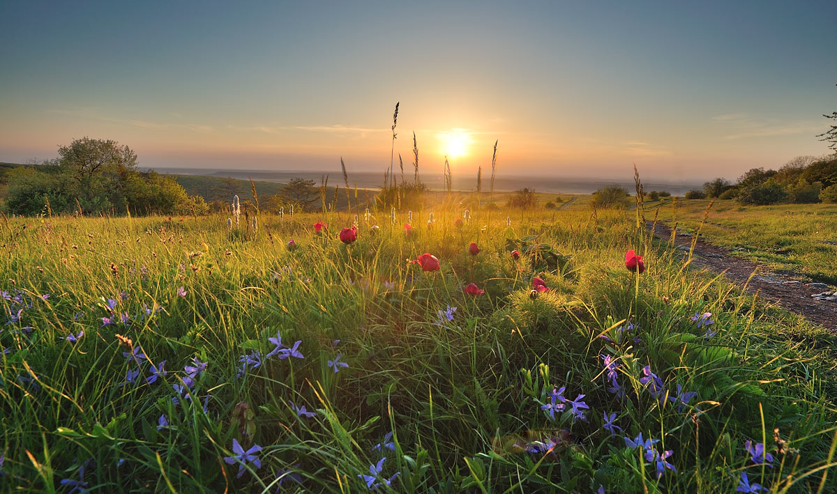 photo "***" tags: landscape, sunset