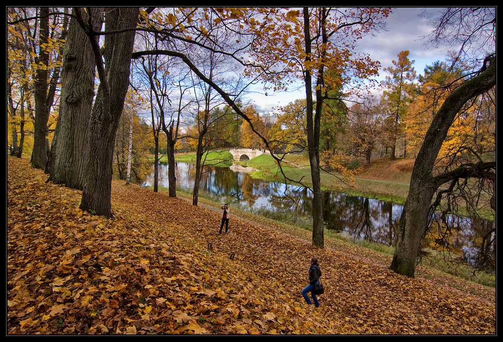 фото "Осенняя фотосессия :)" метки: пейзаж, жанр, осень