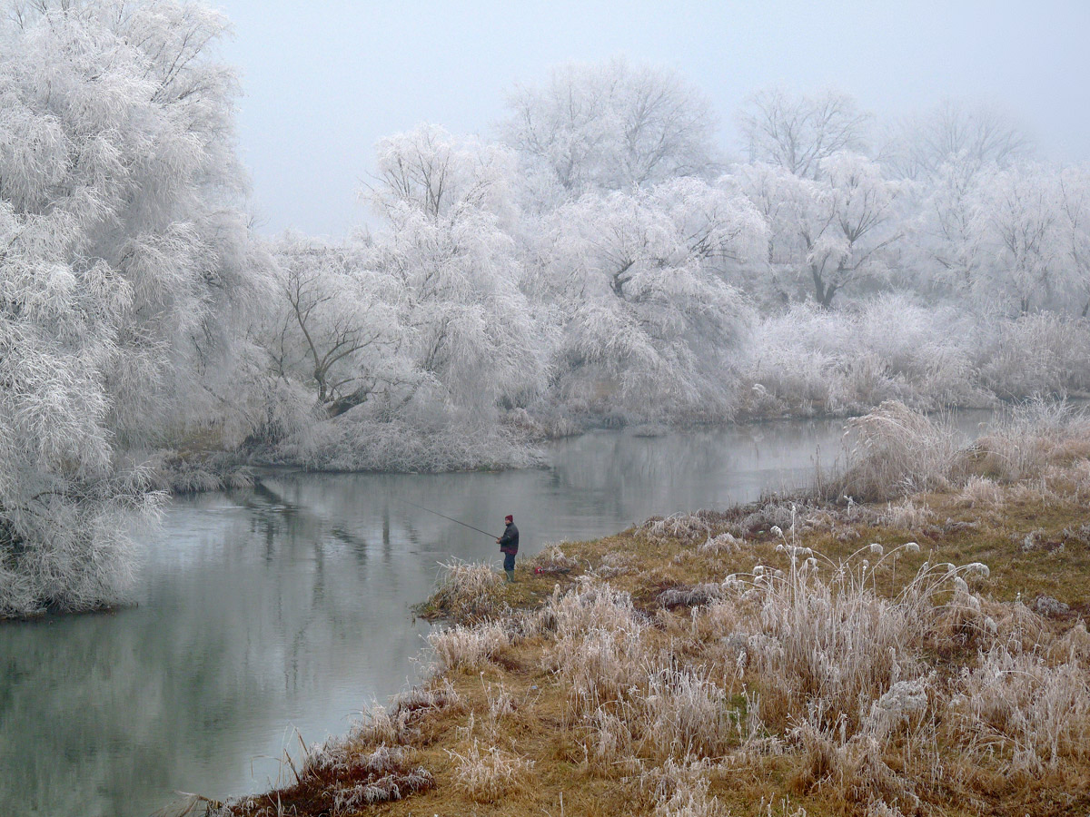 фото "***" метки: пейзаж, 