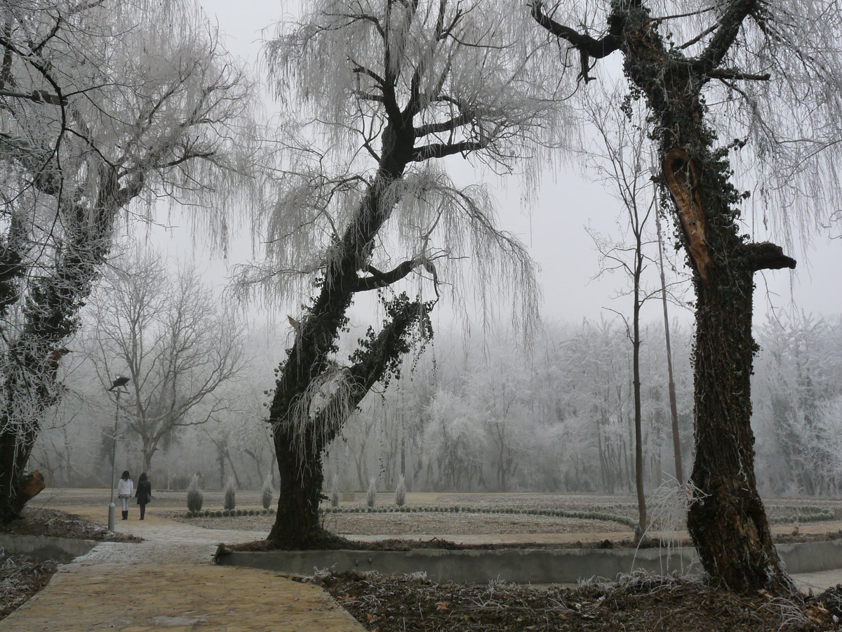 фото "***" метки: пейзаж, город, цветы