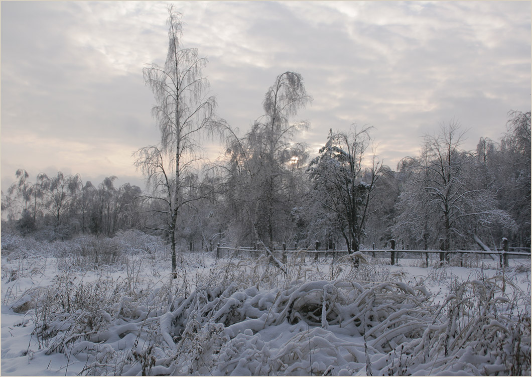 photo "The winter twilight" tags: , 