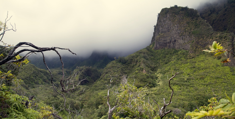 photo "Hawaii, Maui" tags: landscape, mountains