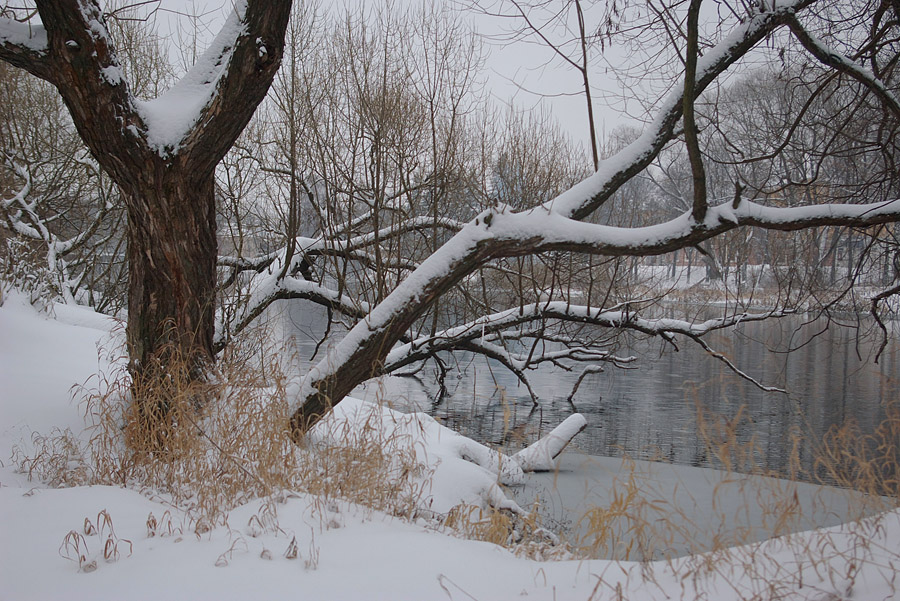 photo "***" tags: landscape, winter