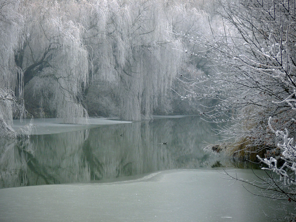 фото "winter impression" метки: пейзаж, город, 