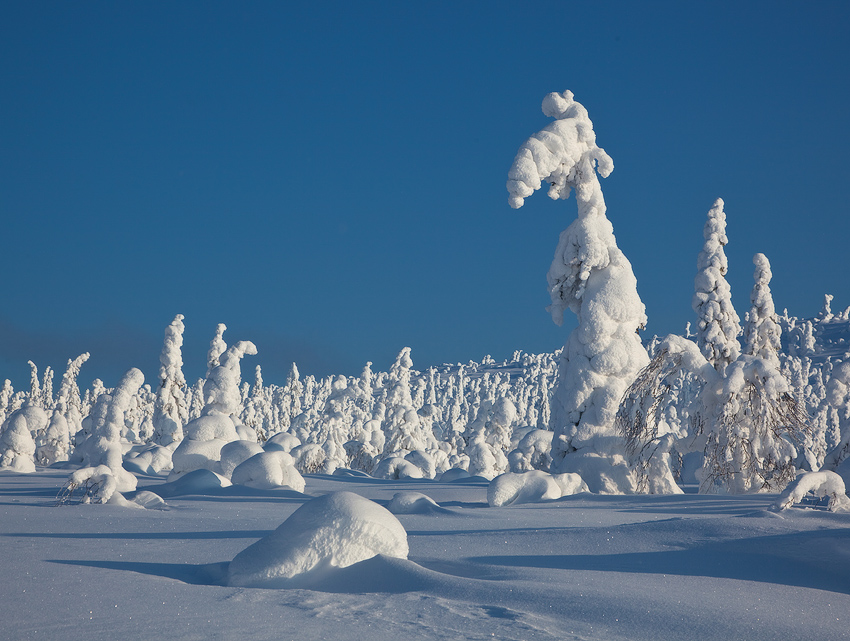 photo "***" tags: landscape, winter