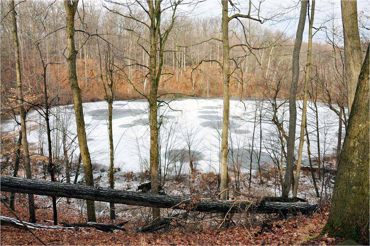 photo "***" tags: landscape, forest, winter