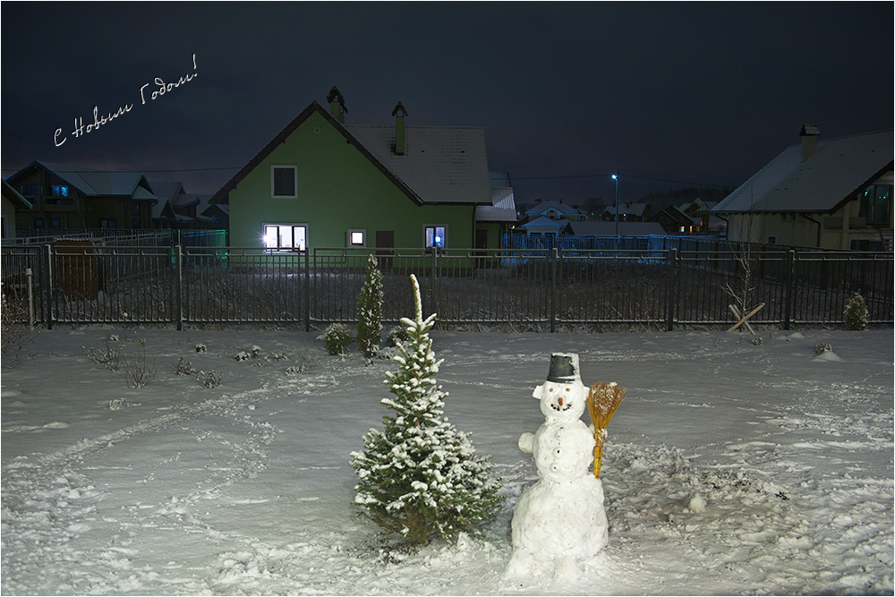 фото "С Новым годом!" метки: пейзаж, зима, ночь