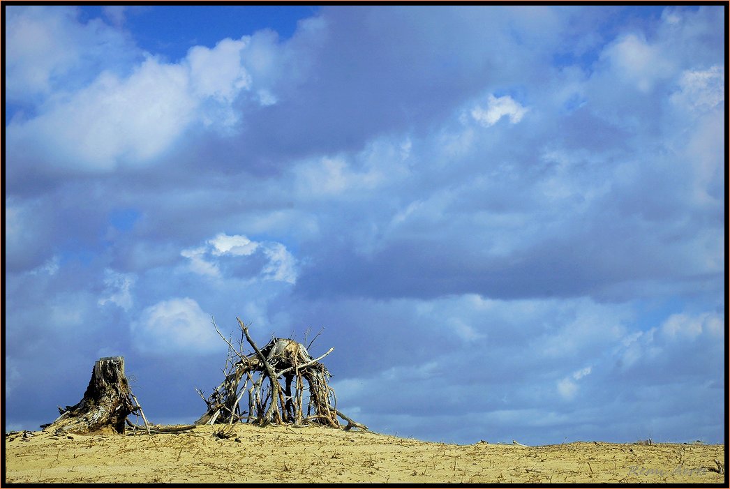 photo "For me heaven on earth" tags: landscape, clouds, summer