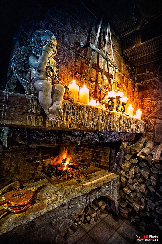 photo "Merlin" tags: still life, 