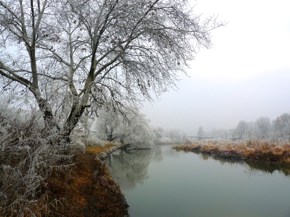 фото "***" метки: пейзаж, 