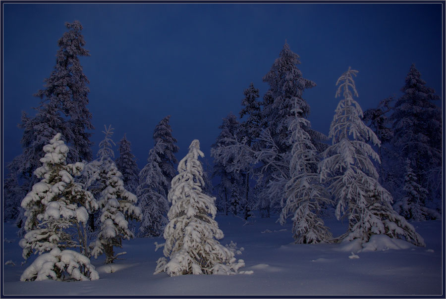 photo "***" tags: landscape, night, winter