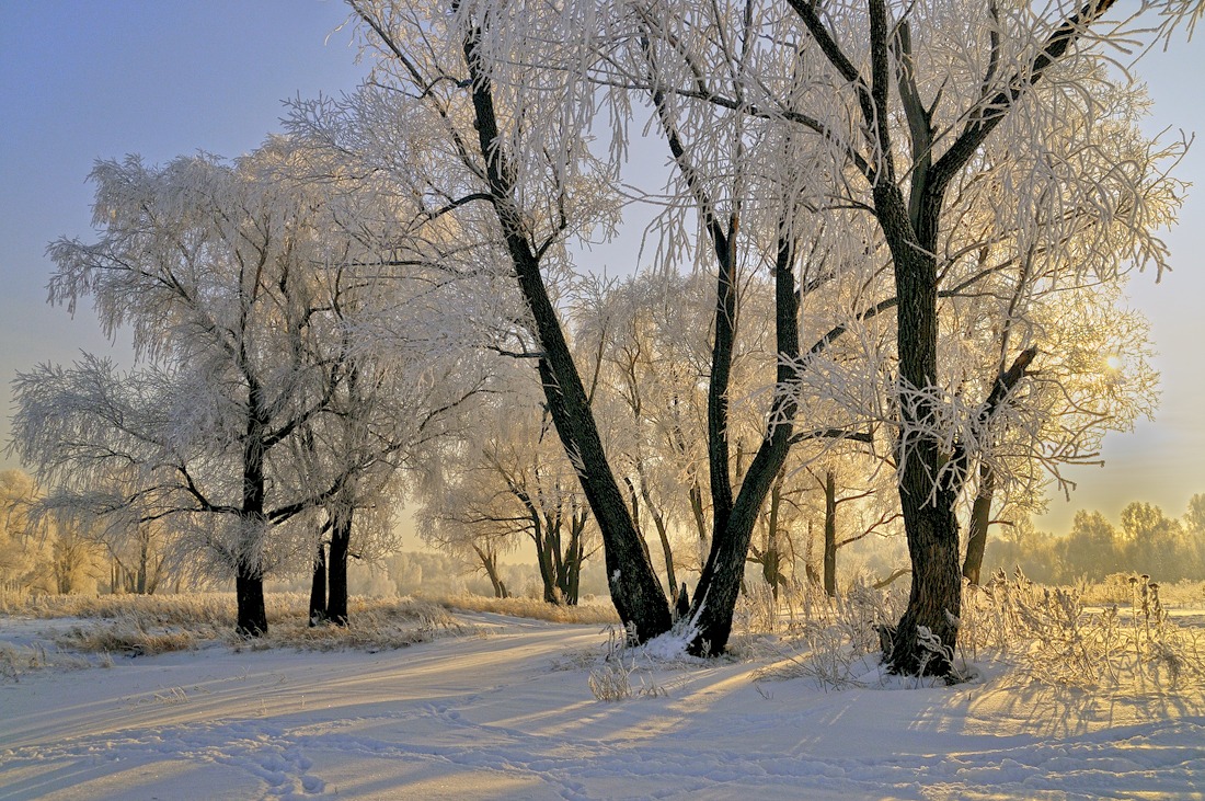 фото "Утро красит..." метки: пейзаж, закат, зима