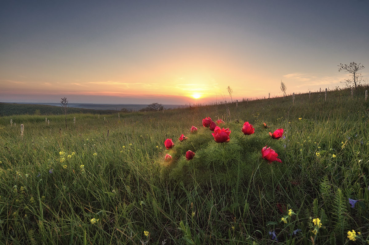 photo "***" tags: landscape, sunset