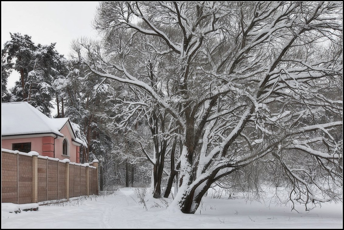 фото "домик в лесу" метки: пейзаж, зима, лес