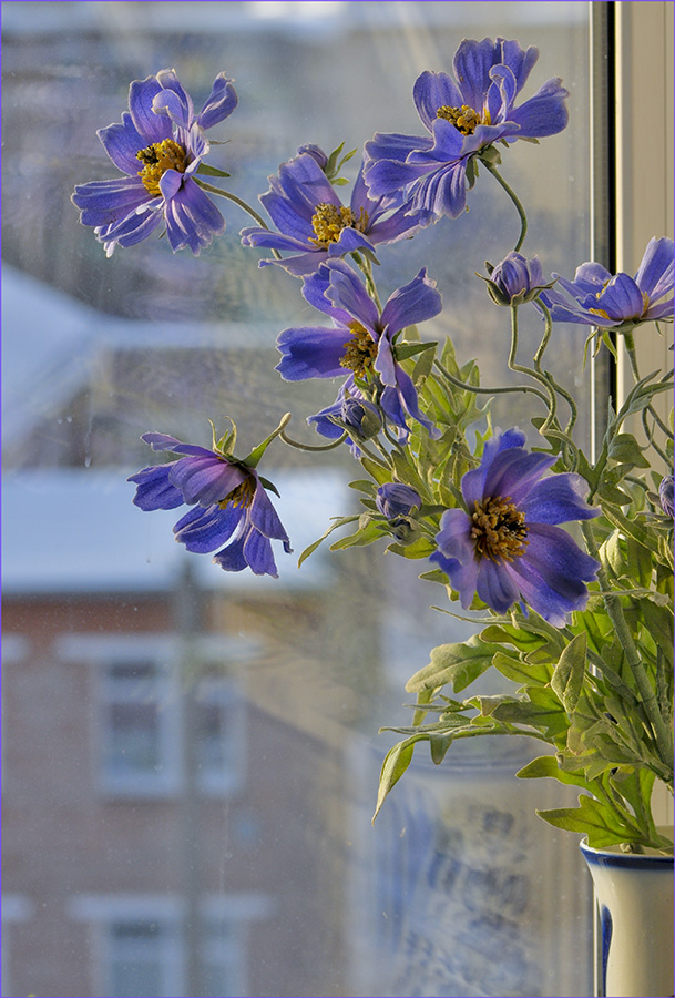 photo "***" tags: still life, 