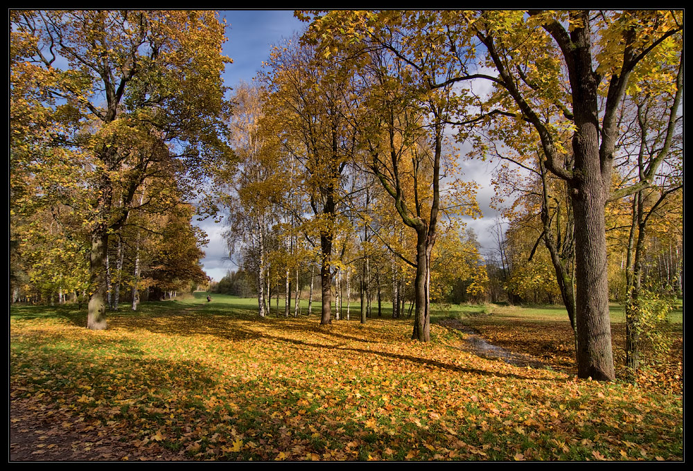 photo "***" tags: landscape, autumn