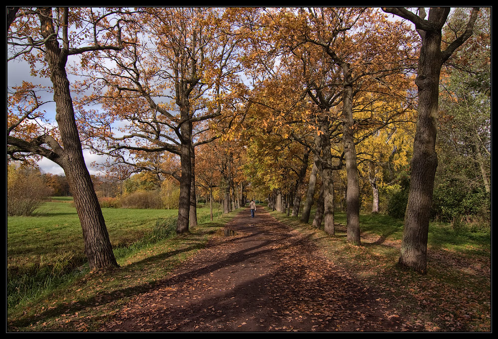 photo "***" tags: landscape, autumn