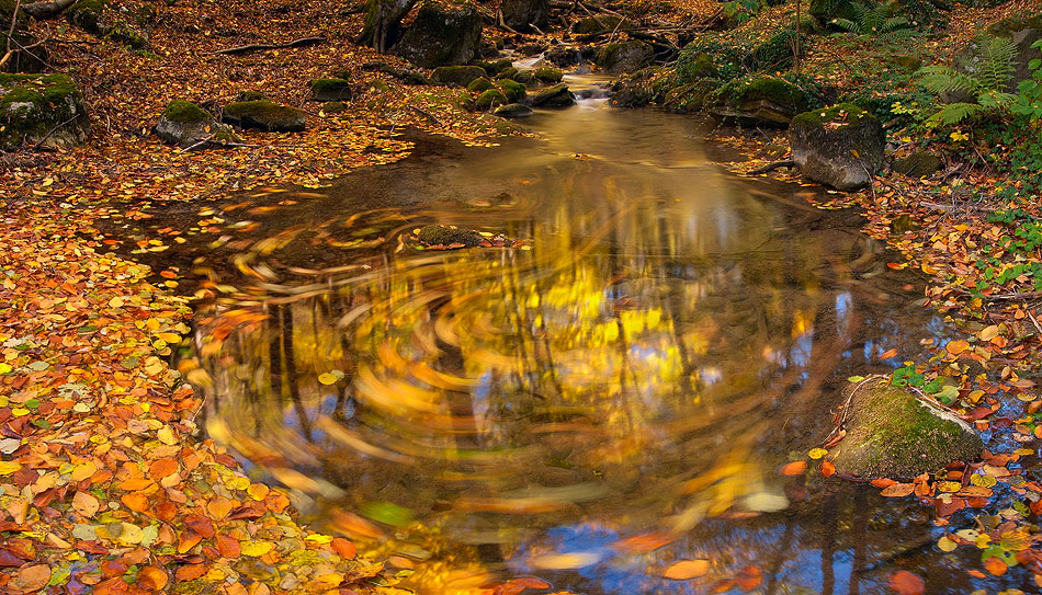 photo "***" tags: landscape, autumn, water