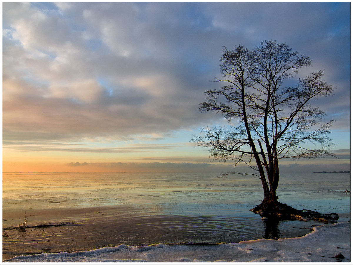 photo "***" tags: landscape, sunset, winter