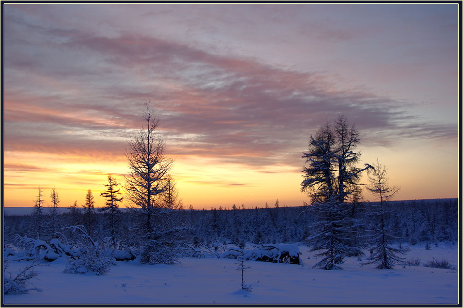 фото "Начало нового дня" метки: пейзаж, закат, зима