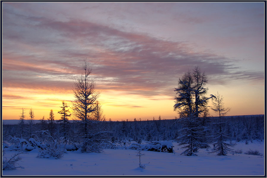 photo "***" tags: landscape, sunset, winter