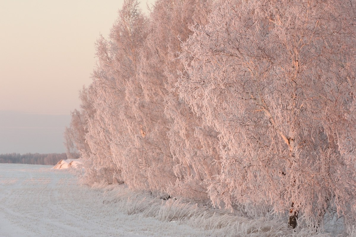 photo "***" tags: landscape, winter