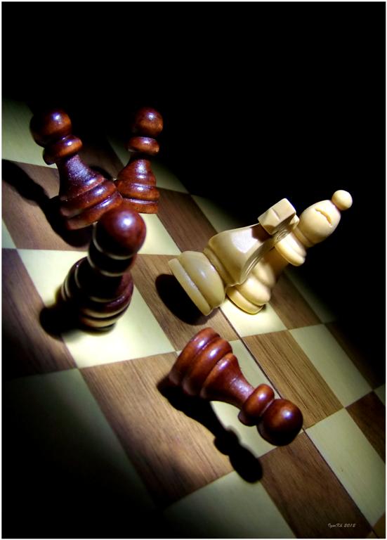 фото "Chess. Episode One." метки: натюрморт, 