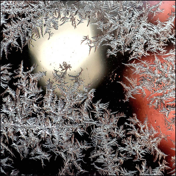 photo "снежни кристали...." tags: landscape, genre, winter