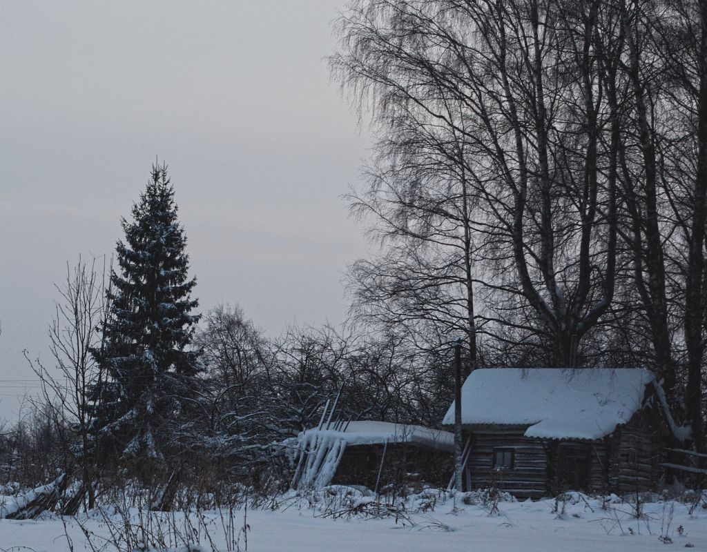 фото "Тихая зима" метки: пейзаж, зима