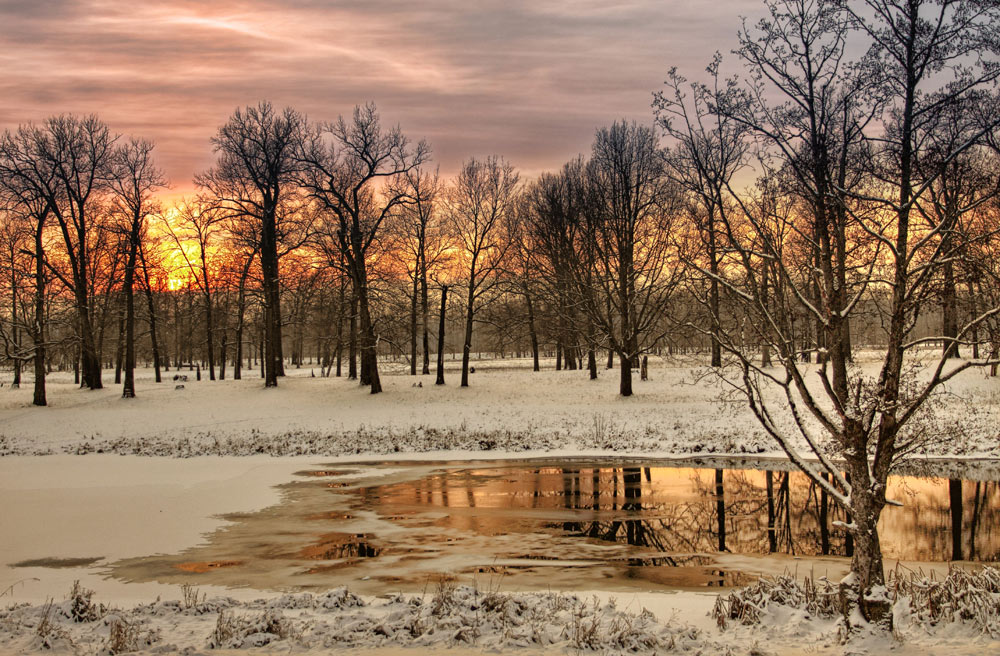 фото "Осовец" метки: , 