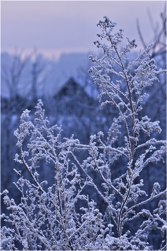 фото "Зимние сумерки" метки: пейзаж, фрагмент, зима