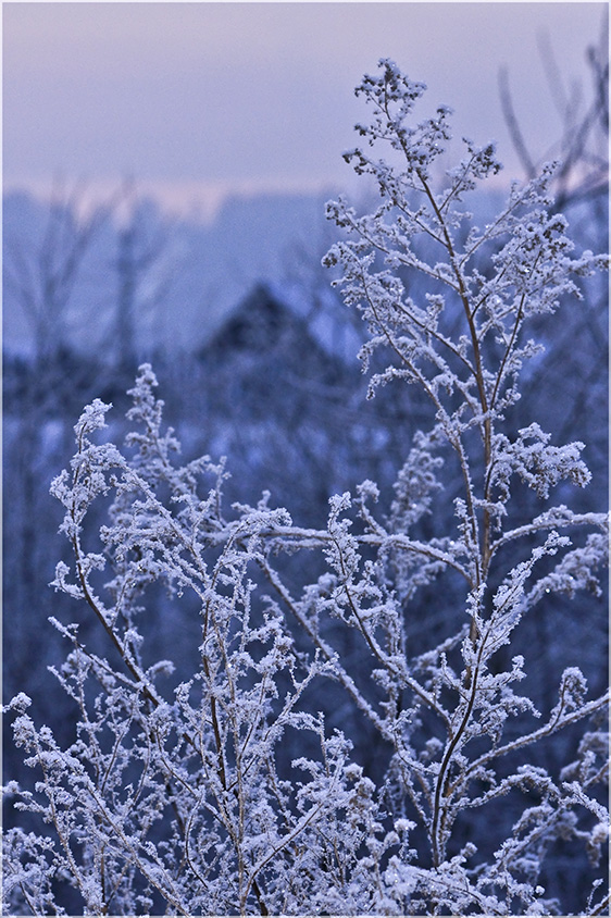 photo "***" tags: landscape, fragment, winter