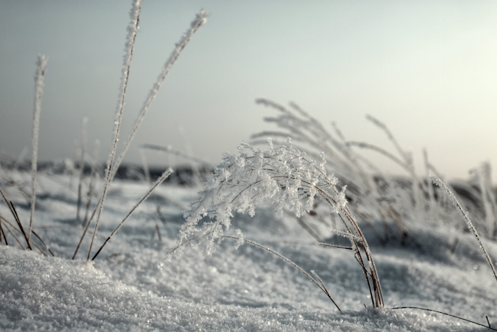 фото "***" метки: пейзаж, зима