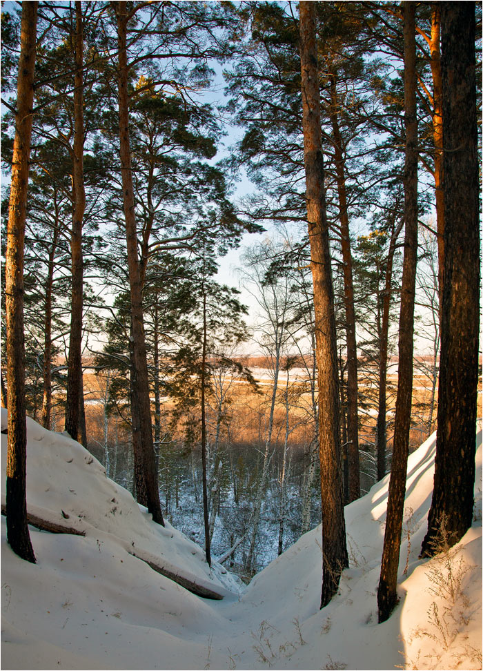 фото "***" метки: пейзаж, зима