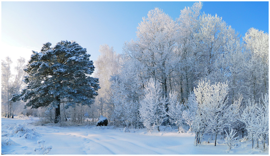 photo "Winter" tags: landscape, winter