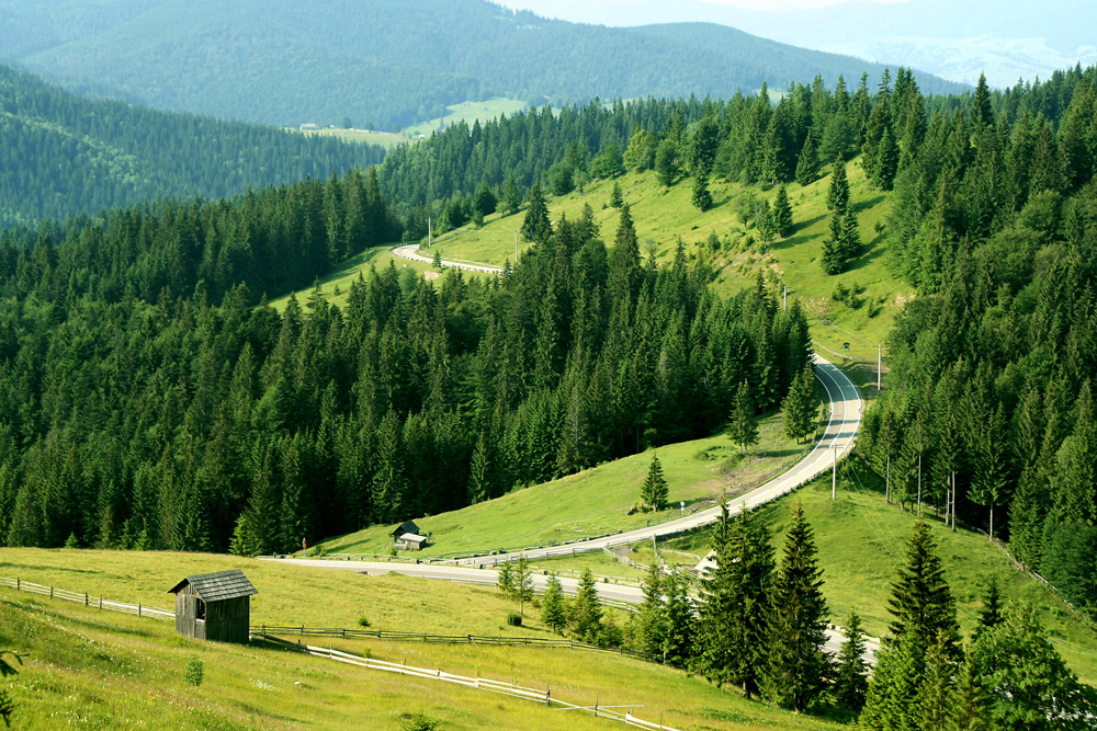 фото "Mountain road" метки: пейзаж, горы, дорога, лес