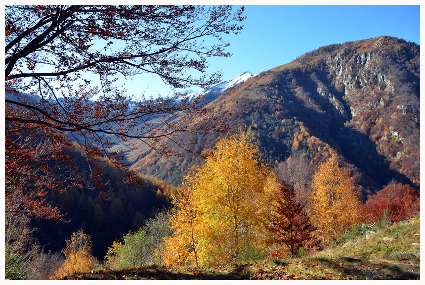 фото "colori" метки: пейзаж, горы