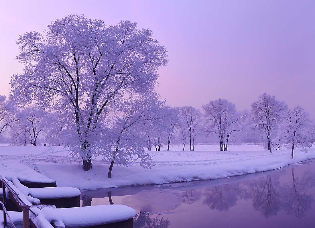 photo "***" tags: landscape, winter
