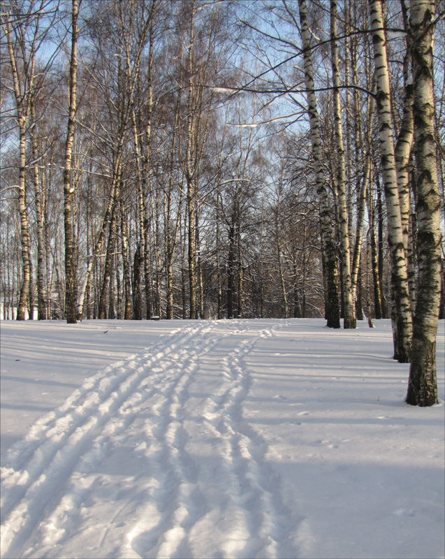 photo "***" tags: landscape, winter