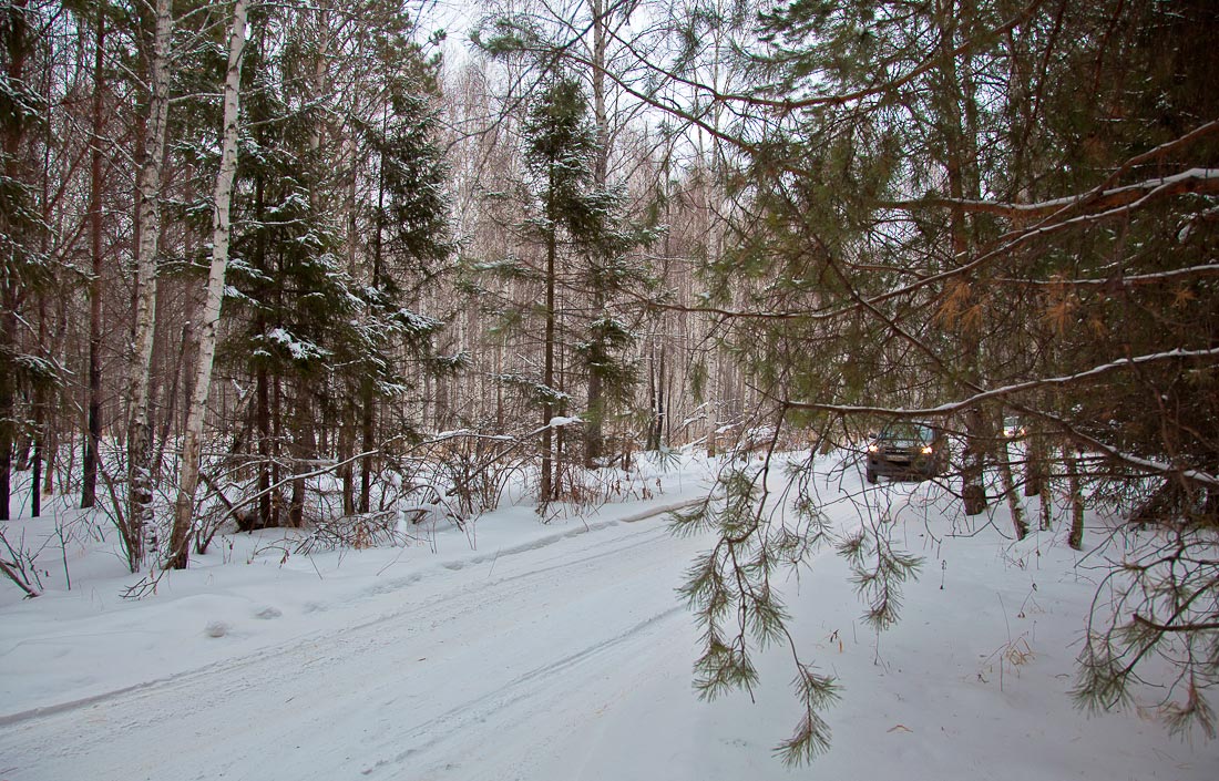 фото "По дороге к заветным местам..." метки: , 