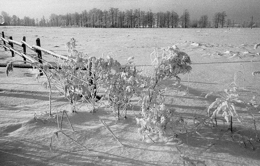 photo "***" tags: landscape, black&white, winter