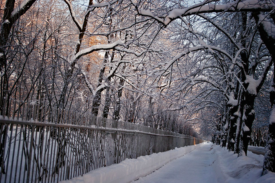 photo "***" tags: landscape, winter