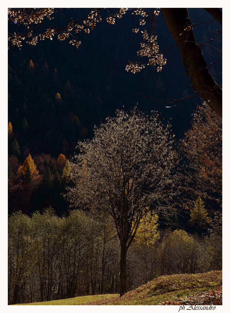 photo "colori" tags: landscape, mountains