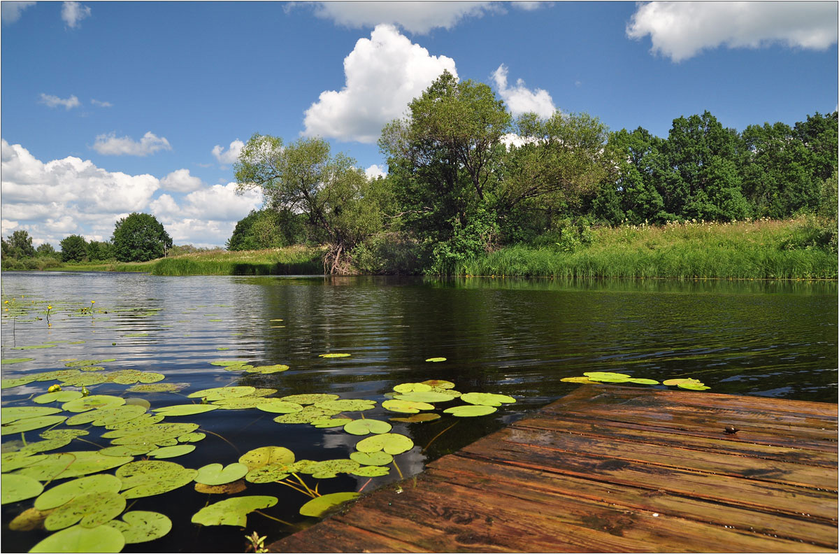 photo "***" tags: landscape, summer, water