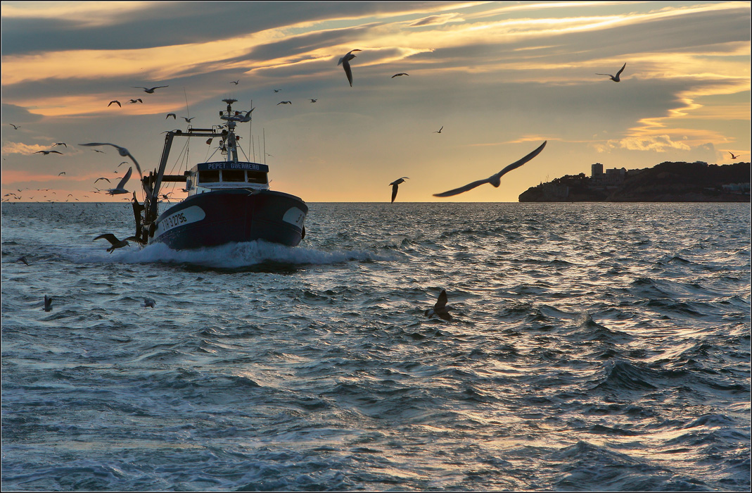 photo "Fishing boat returns" tags: landscape, sunset, water