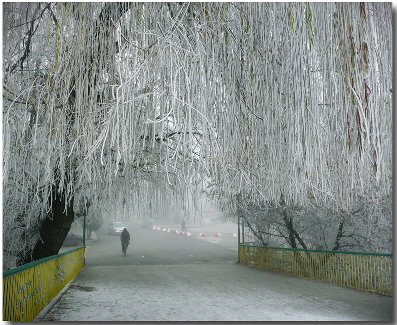 фото "Frost and fog" метки: город, 
